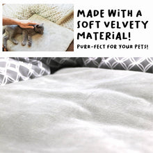 Petique, Inc - Hide and Seek Sleep & Play Mat